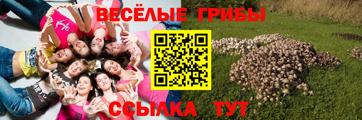 Меф Батайск