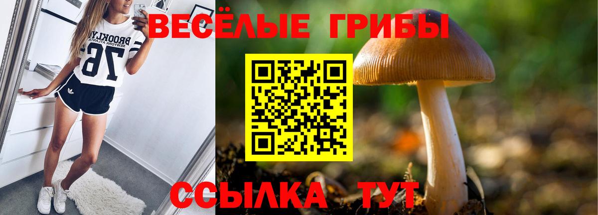 Псилоцибиновые грибы Magic Shrooms Батайск