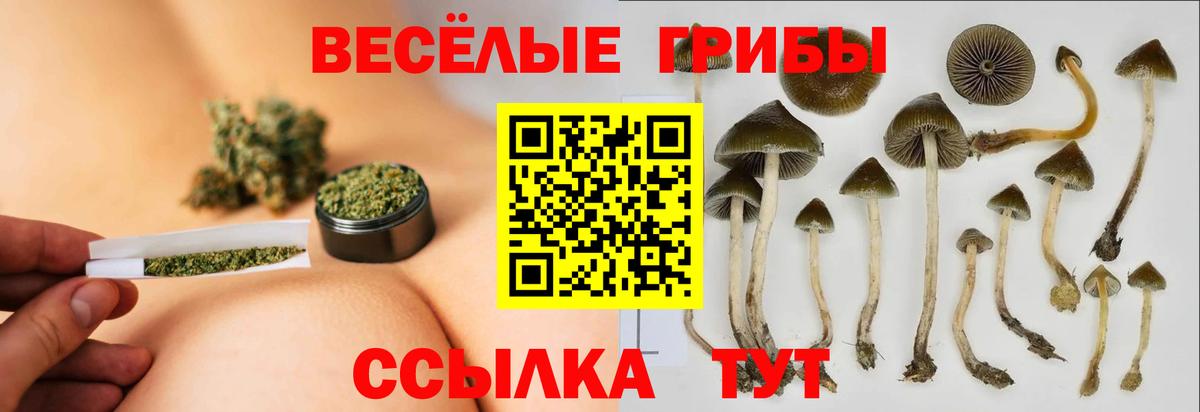 Псилоцибиновые грибы Cubensis  Псилоцибиновые грибы GOLDEN TEACHER  Батайск  Вход с VPN 